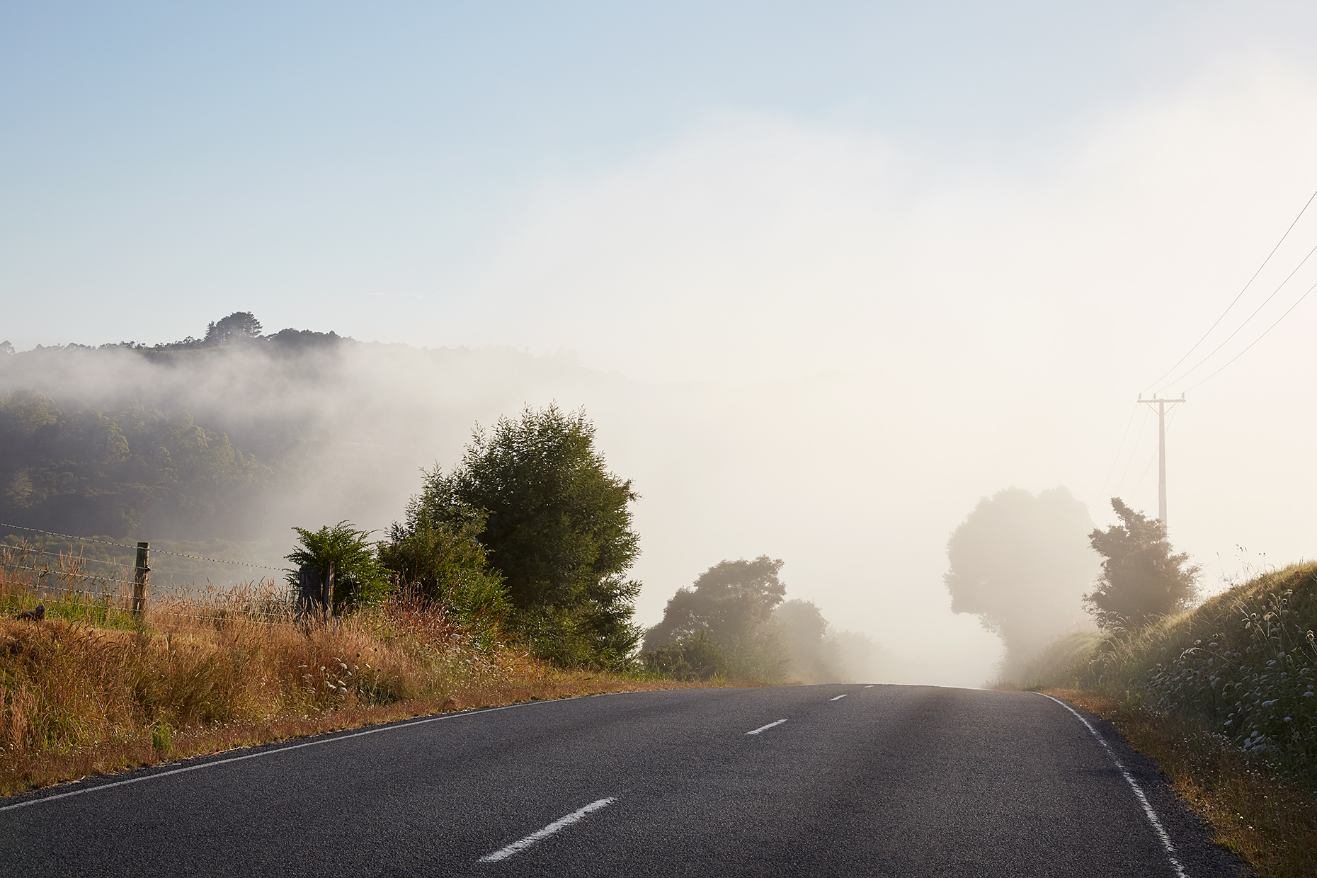 Early morning fog, Taumarere, New Zealand, 2019