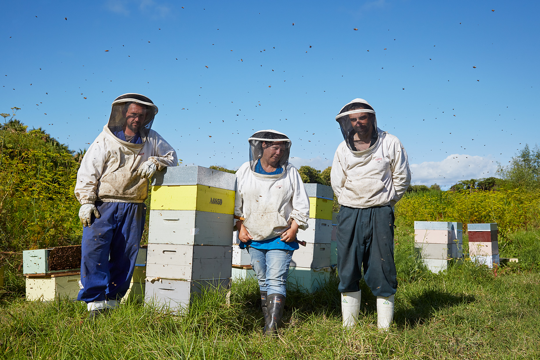 Beekeepers, Auckland, New Zeraland, 2019