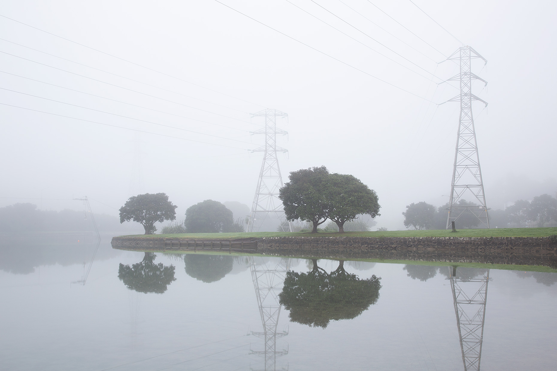 Lagoon, Auckland, 2019